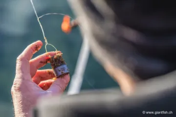 Plomb Feeder Guru Slimline X-Change Feeder - par 4