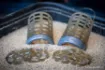 Picture of Feeder Cap Guru Particle Cap