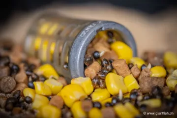 Capuchon Feeder Guru Particle Cap