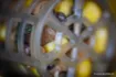 Picture of Feeder Cap Guru Particle Cap