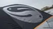 Picture of Guru Large Umbrella