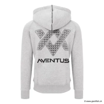 Sweat Guru Aventus Hoodie Grey - Gris