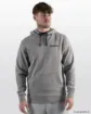 Immagine di Sweat Guru Lightweight Hoodie Grey - Gris