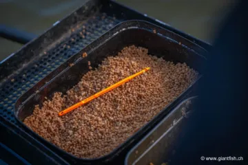 Dégorgeoir Guru Disgorger