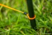 Picture of Pique Guru Distance Sticks