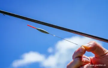 Flotteur à Oeillet Guru F1 Wire Stem Float