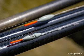 Flotteur à Oeillet Guru F1 Wire Stem Float