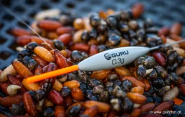 Flotteur à Oeillet Guru F1 Carbon Stem Float