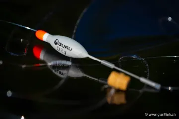 Flotteur Guru Cookie Float