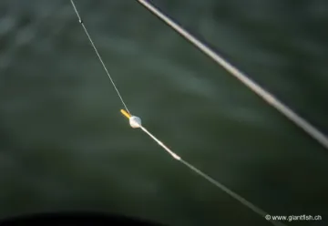 Flotteur à Oeillet Guru Margin Diamond Float