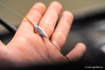 Flotteur à Oeillet Guru Bobbie Float Carbon