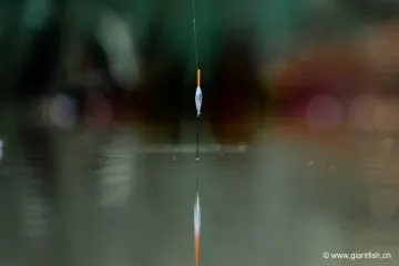 Flotteur à Oeillet Guru Bobbie Float Carbon