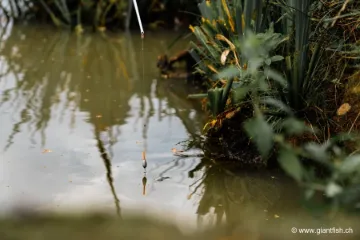 Flotteur à Oeillet Guru Bagger Float