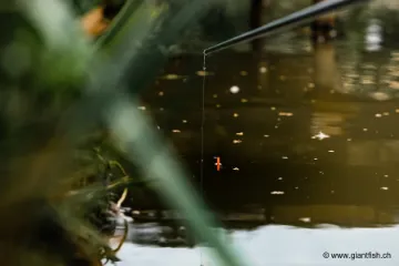 Flotteur à Oeillet Guru Bagger Float