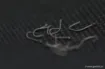 Picture of Guru F1 Eyed Hook Barbless Eyed Hook