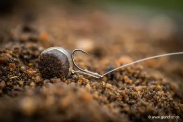 Hameçon à Oeillet Guru LWG Feeder Special Barbed