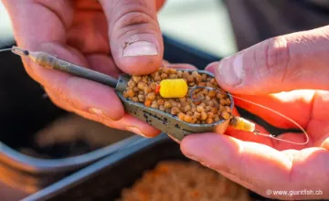 Stop Appât Guru Micro Hair Stops - par 3