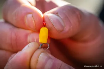 Stop Appât Guru Micro Hair Stops - par 3