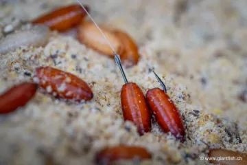 Hameçon Guru Match Special Barbed