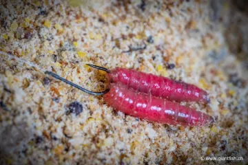 Hameçon Guru Match Special Barbed