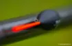 Immagine di Galleggiante con Occhiello Guru Skimmer Wire
