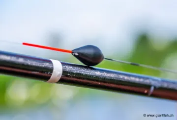 Flotteur à Oeillet Guru Ligger Wire