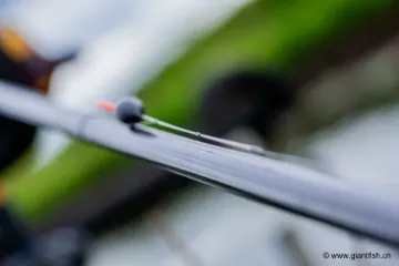 Flotteur à Oeillet Guru Ligger Carbon