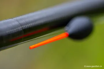 Flotteur à Oeillet Guru Speed Carbon