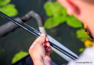 Flotteur à Oeillet Guru Slim Pencil