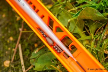 Plomb Guru Tungsten Olivette
