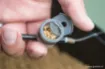 Immagine di Coupelle Guru Pole Pot