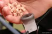 Immagine di Coupelle Guru Pole Pot