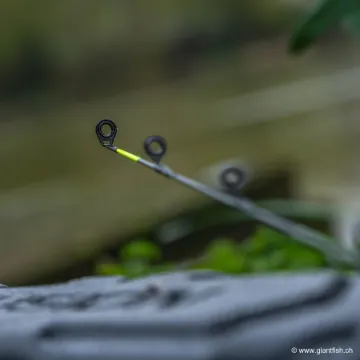 Scion Canne Guru Aventus (10/11 ft) N-Gauge (12 ft) Carbon Quiver