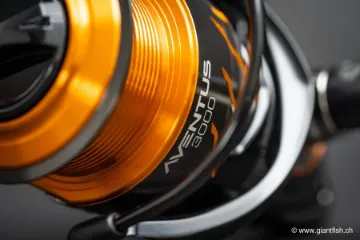 Bobbine de Rechange Guru Aventus Spare Spool