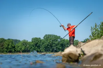 Manche d'épuisette Guru Aventus Landing Net 4m+1m - 3 brins