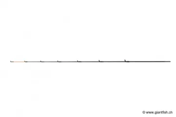 Scion Guru N-Gauge Specimen Duel Quiver Tip