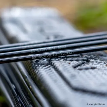 Scion Guru N-Gauge Specimen Duel Quiver Tip