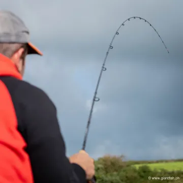 Elément Canne Guru Aventus SR