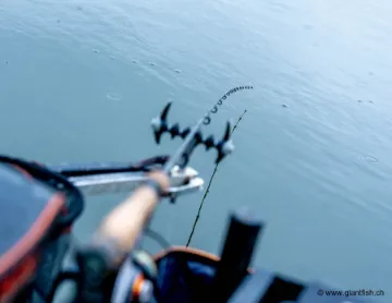 Elément Canne Guru Aventus SR