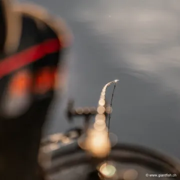 Elément Canne Guru Aventus SR