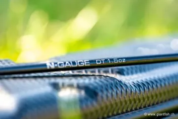 Scion Guru N-Gauge DT Quiver