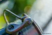 Immagine di Guru N-Gauge Specimen Reel