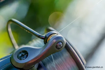 Moulinet Débrayable Guru N-Gauge Specimen Reel