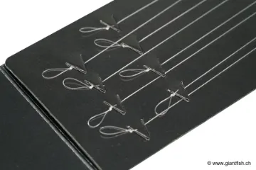 Hameçon Monté Guru Super LWG Ready Rigs