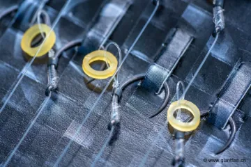 Hameçon Monté Guru QM1 Bait Bands Rig 4"