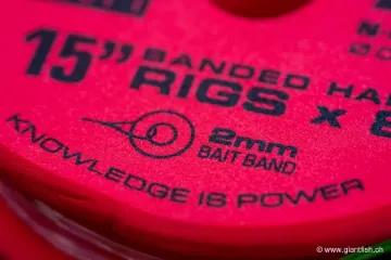 Hameçon Monté Guru QM1 Bait Bands Rig 15"