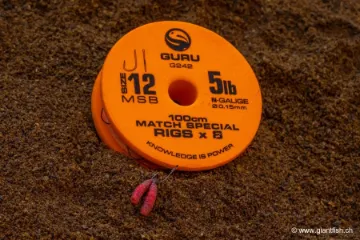 Hameçon Monté Guru Match Special Rig