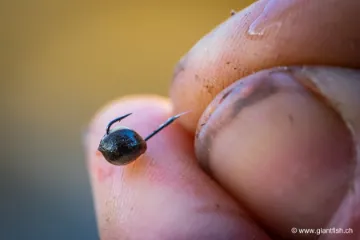 Hameçon Monté Guru Match Special Rig 8"