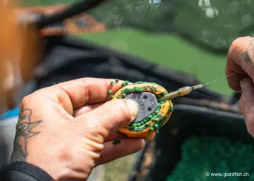 Manchon Guru X-Safe Spare Tail Rubbers - par 10