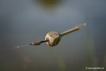 Manchon Guru X-Safe Spare Tail Rubbers - par 10